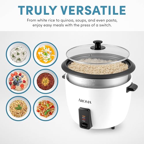 Best Rice Cooker For Large Family