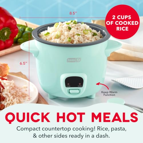 Best Rice Cooker For Travel