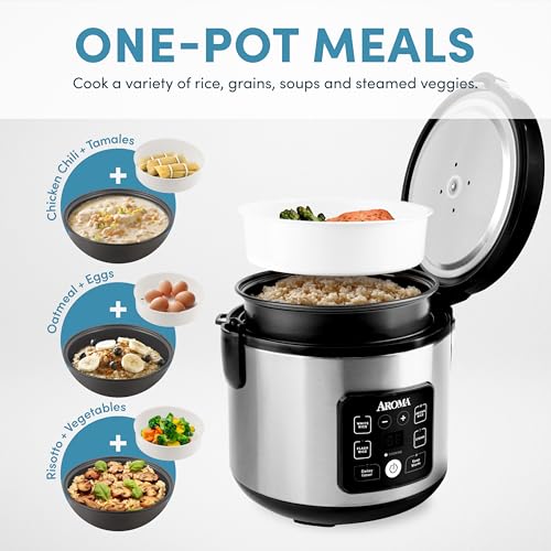 Best Rice Cooker For Brown Rice