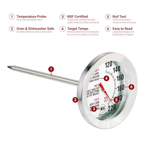 Best Meat Thermometer For Roasting