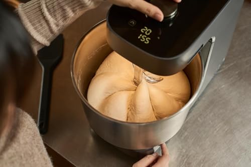Best Stand Mixer For Pizza Dough