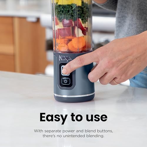 Best Portable Blender For Frozen Fruit