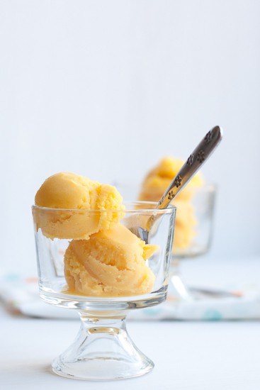 How To Make A Sorbet With A Blender