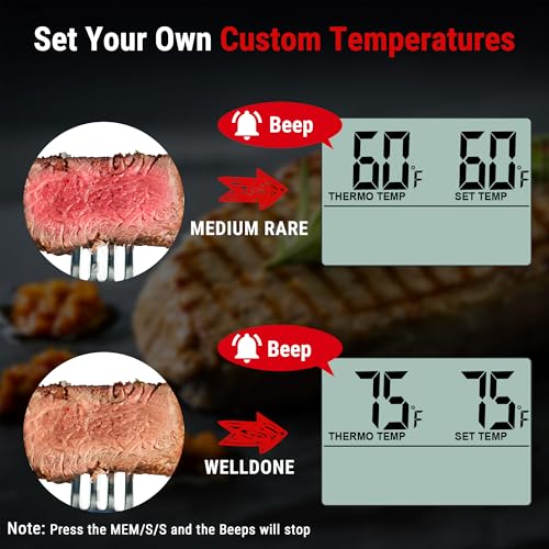 Best Meat Thermometer For Oven