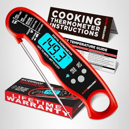 Best Meat Thermometer For The Money