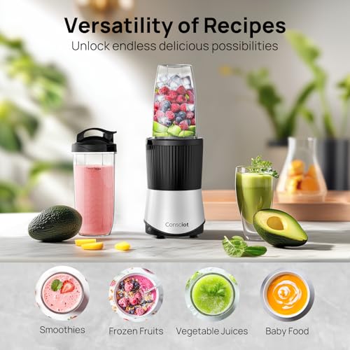 Best Blender For Smoothies Under $100